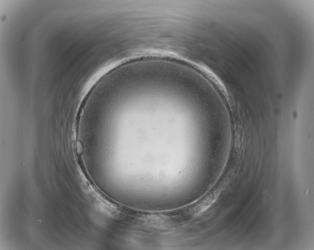 X0000087401287200704201258