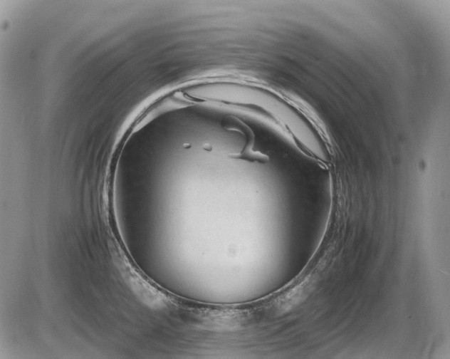 X0000087401288200704201258
