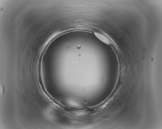 X0000087401291200704201258