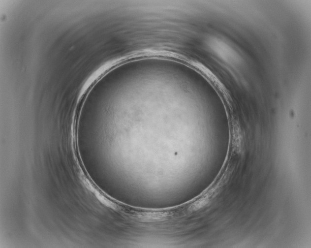 X0000087401294200704201258