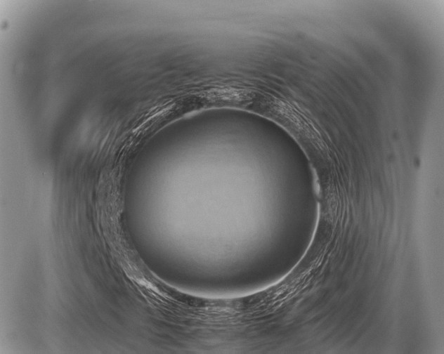 X0000087401297200704201257