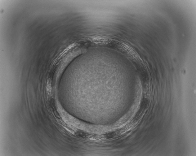 X0000087401298200704201257
