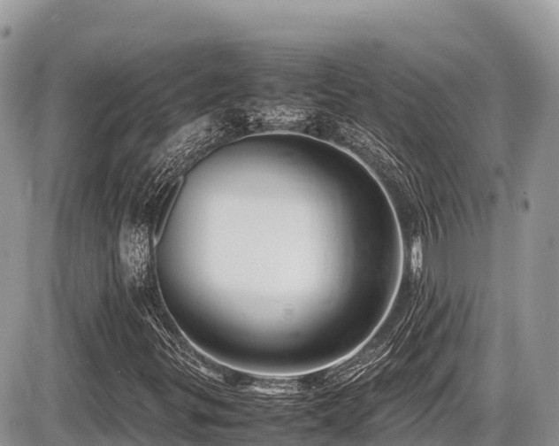 X0000087401299200704201257