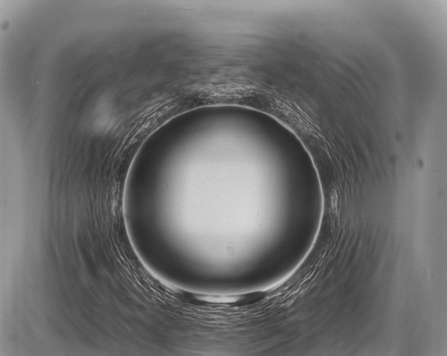 X0000087401300200704201257