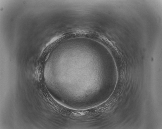 X0000087401303200704201257