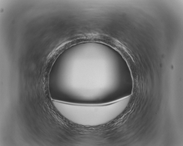 X0000087401304200704201257