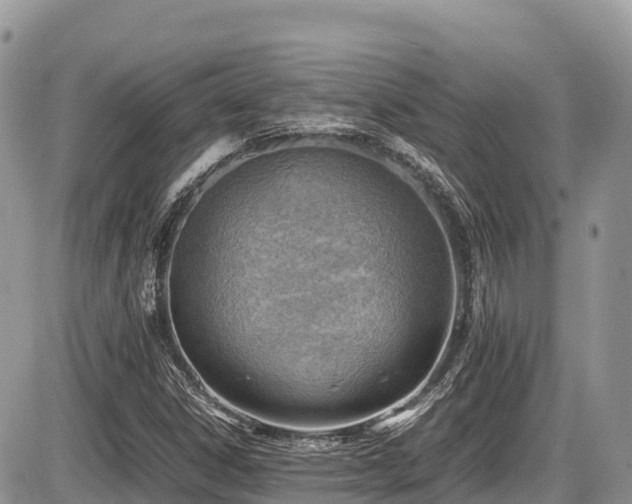 X0000087401306200704201257
