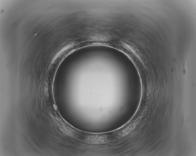 X0000087401307200704201257