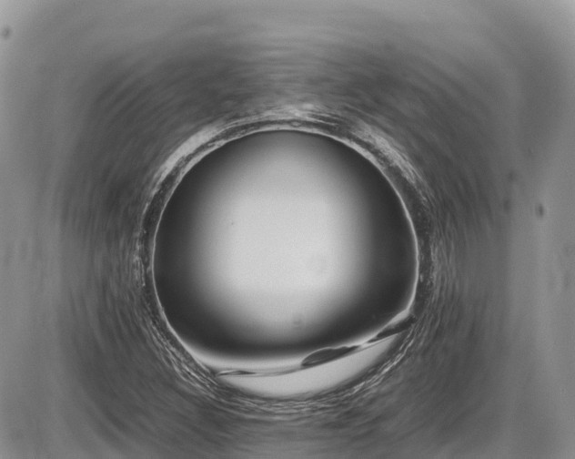 X0000087401308200704201257