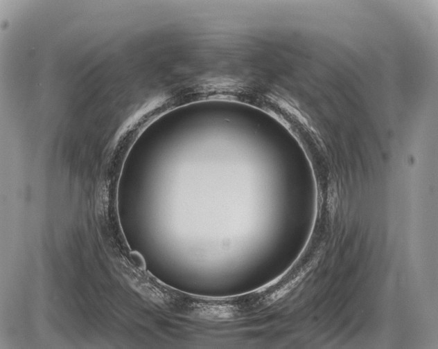 X0000087401309200704201257