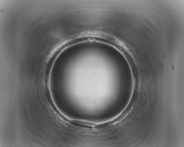 X0000087401312200704201257