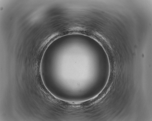 X0000087401313200704201257