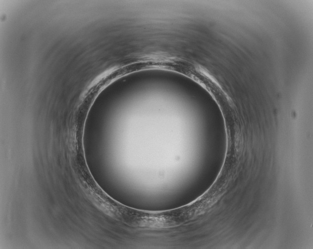X0000087401315200704201257