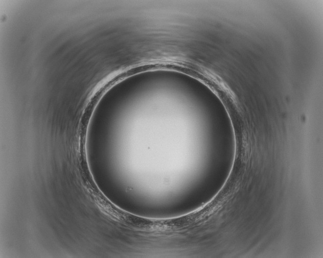 X0000087401316200704201257