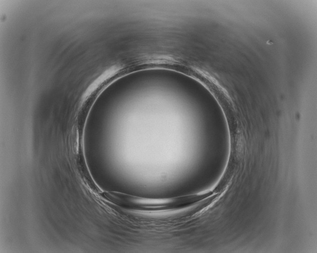 X0000087401317200704201257