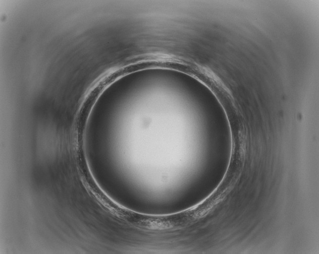 X0000087401318200704201257