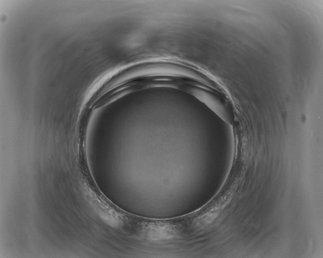 X0000087401319200704201257