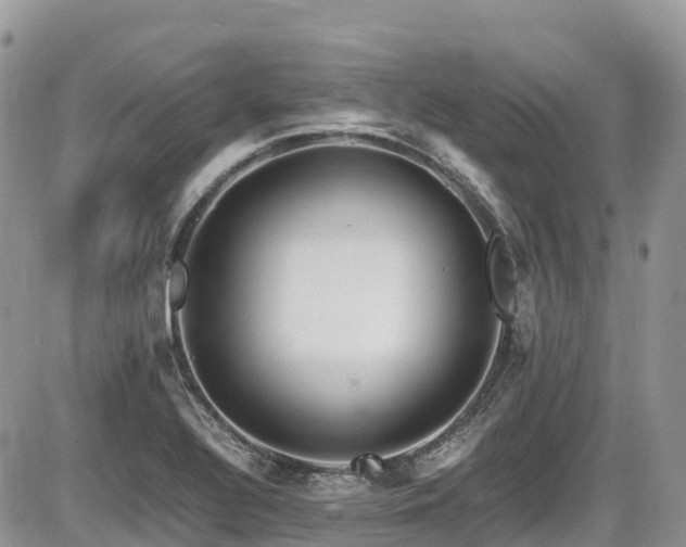 X0000087401320200704201257