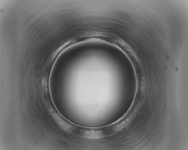 X0000087401321200704201257