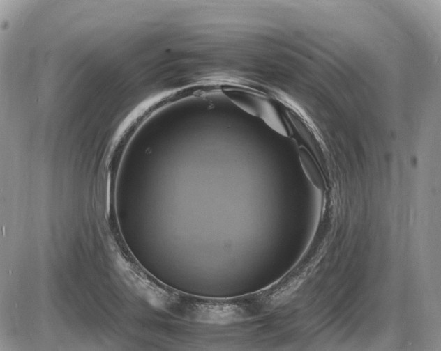 X0000087401323200704201257