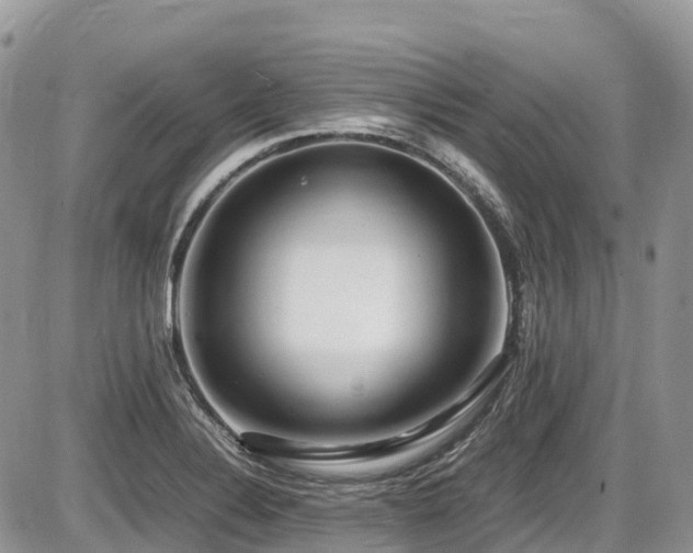 X0000087401324200704201257
