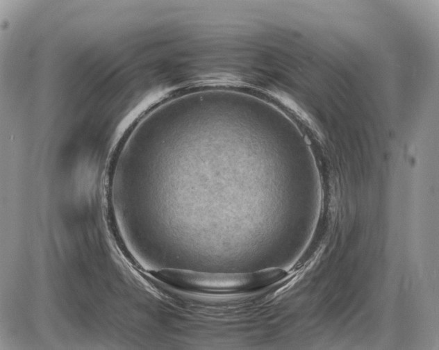 X0000087401325200704201258