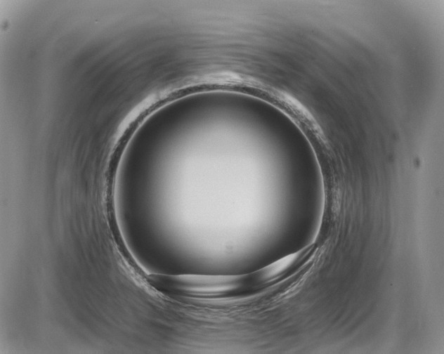 X0000087401326200704201258