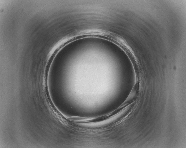 X0000087401328200704201258
