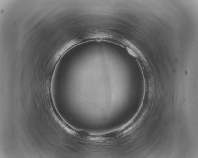 X0000087401329200704201258