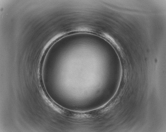 X0000087401331200704201258