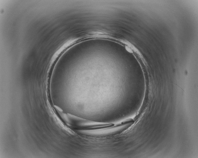 X0000087401333200704201258