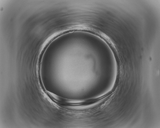 X0000087401334200704201258