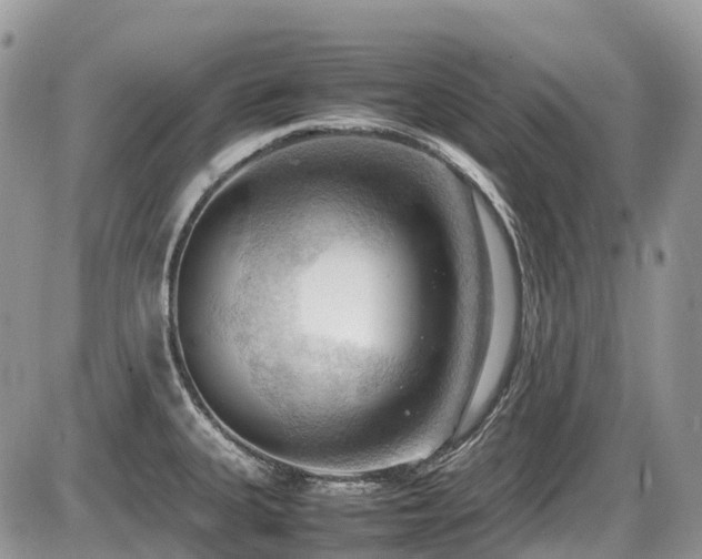 X0000087401335200704201258