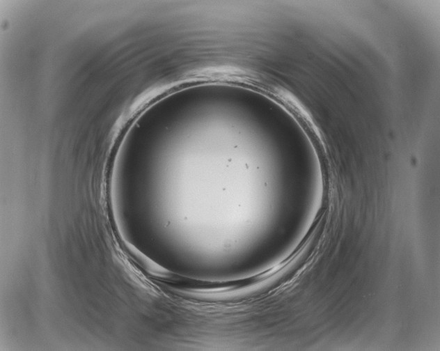 X0000087401336200704201258