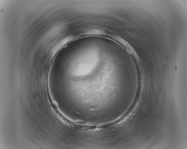 X0000087401337200704201258