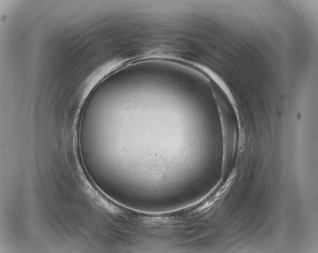 X0000087401341200704201258