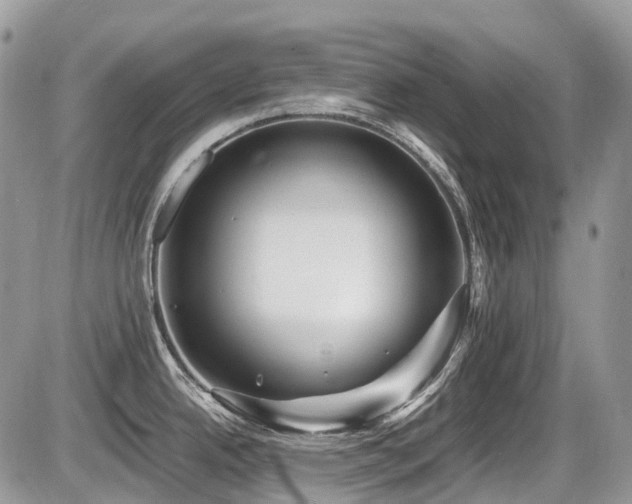 X0000087401342200704201258