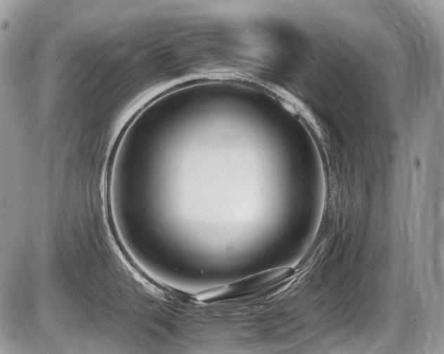 X0000087401343200704201258