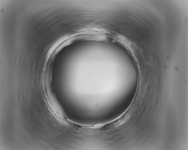 X0000087401344200704201258
