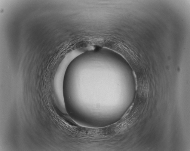 X0000087401345200704201257