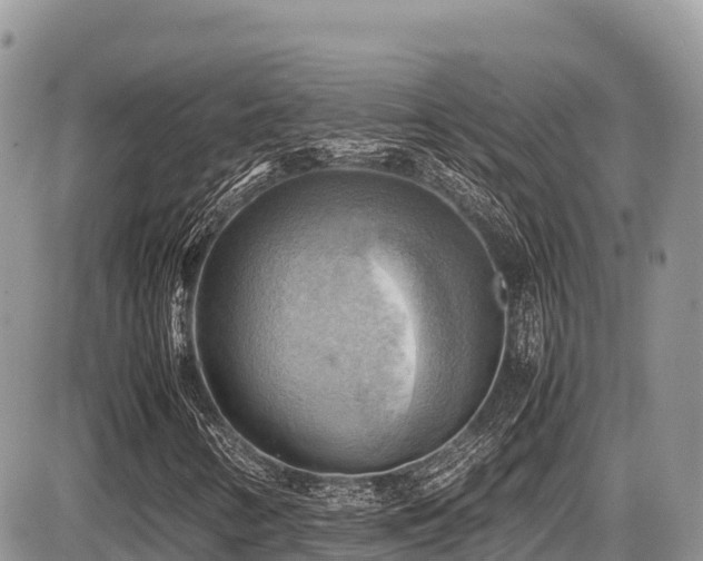 X0000087401346200704201257