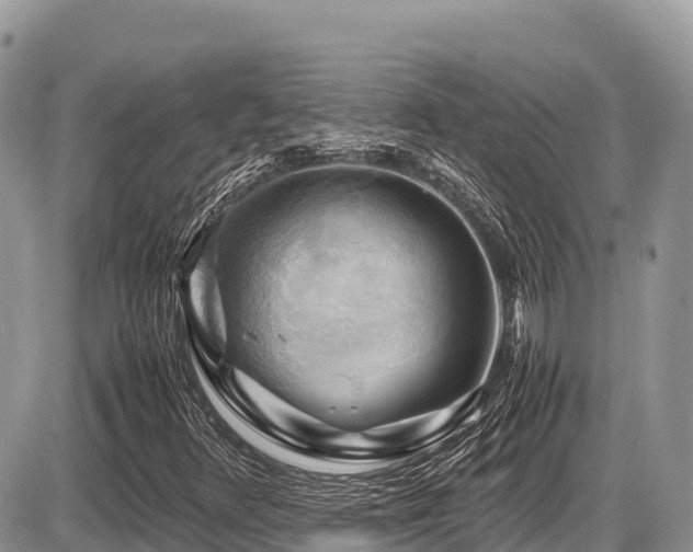 X0000087401348200704201257