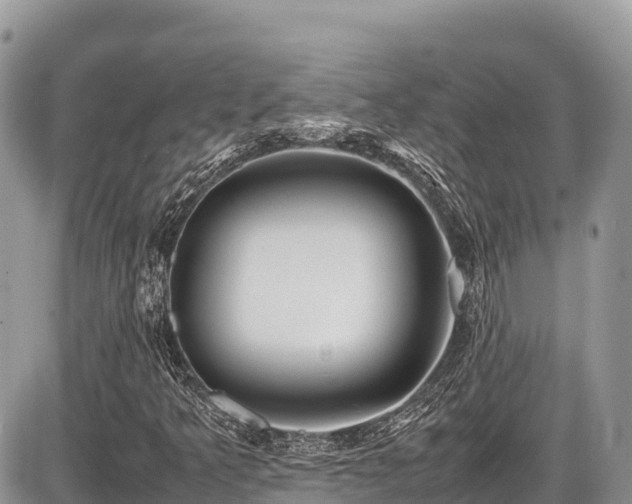X0000087401349200704201257