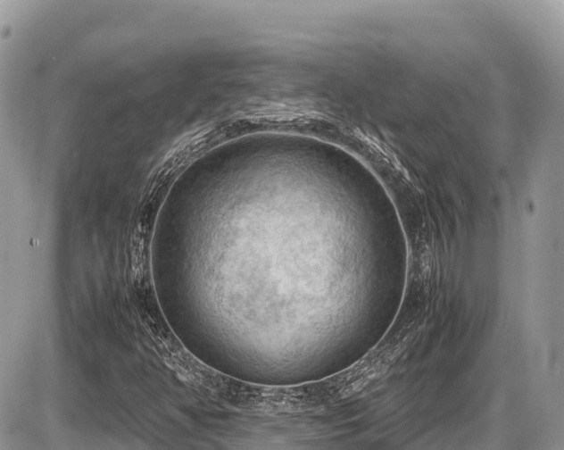 X0000087401350200704201257