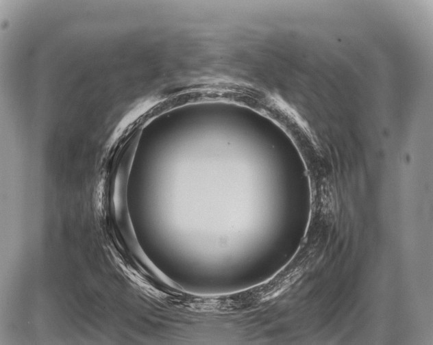 X0000087401352200704201257