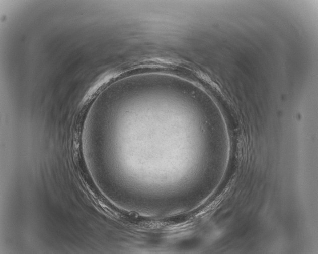 X0000087401355200704201257