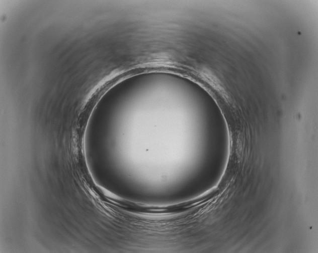 X0000087401356200704201257