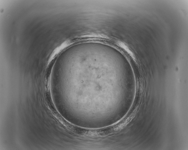 X0000087401357200704201257