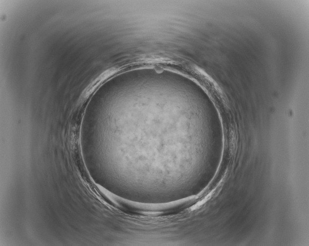 X0000087401361200704201257