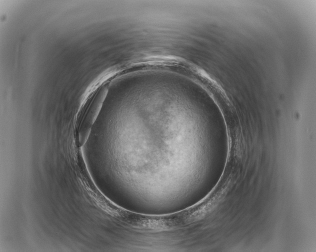 X0000087401362200704201257
